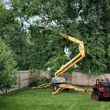 Lawn Grading and Leveling in Crookston, MN